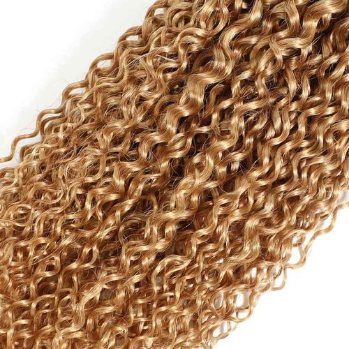 ZCMYVINND Honey Blonde Bundles Human Hair 1B27 Ombre Bundles Color 1b27 Curly Wave Bundle 2 Tone Black to Honey Blonde 12 14 16 Inch Unprocessed Virgin Hair for Black Women