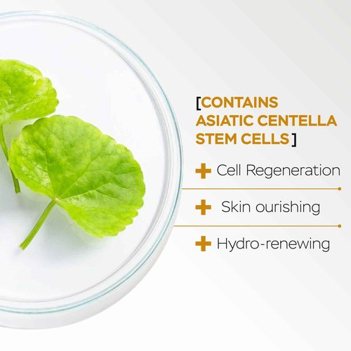 AM/PM Anti-Aging Facial Serum Duo, Deep Hydration, Photoaging Protection with Arabian Cotton Stem Cells & Hyaluronic Acid (AM), Firming & Rejuvenation with Centella Asiatica Stem Cells & Collagen (PM)