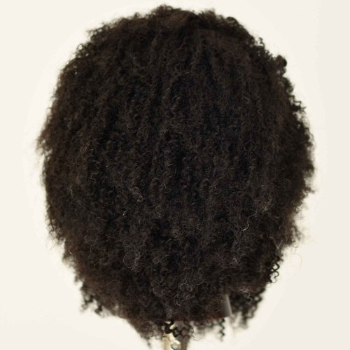 Newshair Male Mannequin Head 8"-10" 100% Human Hair Curly Hair Hairdresser Cosmetology Mannequin Manikin Training Head Hair and Free Clamp Holder