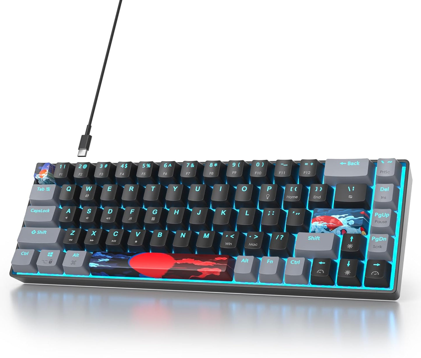 60 Percent Gaming Keyboard 60% Mechanical Keyboard LED Backlit Ultra Compact Wired Keyboard with Red Switch for Windows Laptop Gamer(61 Blue Samurai)