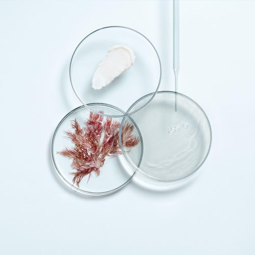 THALGO Soothing fluid from the professional product line CICA Marin, the first SOS care line with marine prebiotics, repairs, soothes and strengthens sensitive and weakened skin