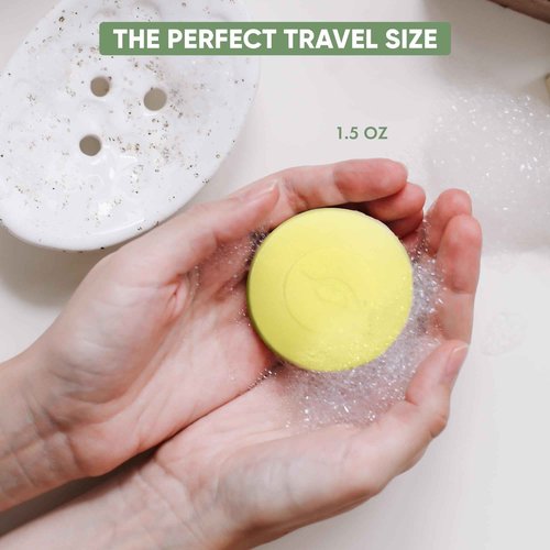 Terra Pure Boxed Bar Soap, Travel Size Hotel Amenities, 1.5 oz (Pack of 100)