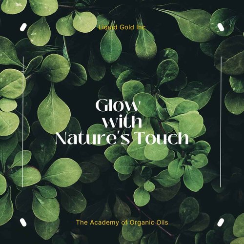 Liquid Gold Inc - 1 Gal - Premium Baobab Oil - 100% Pure Cold Pressed Natural Organic