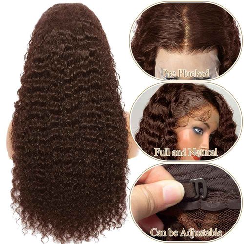 HD Lace Front Wigs Human Hair 180% Density Chocolate Brown13x4 Water Curly Lace Front Wigs Human Hair Pre Plucked Glueless Wigs Human Hair for Black Women (22Inch, Brown)