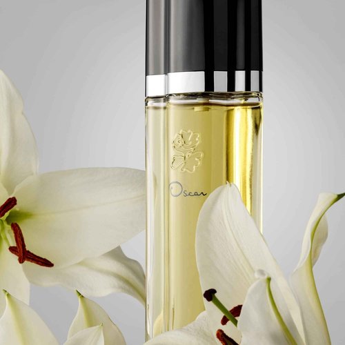 Signature Collection, Eau de Toilette Perfume Spray for Women, 1.7 Fl. Oz.