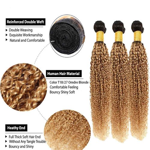 ZCMYVINND Honey Blonde Bundles Human Hair 1B27 Ombre Bundles Color 1b27 Curly Wave Bundle 2 Tone Black to Honey Blonde 12 14 16 Inch Unprocessed Virgin Hair for Black Women