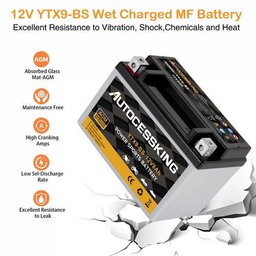 YTX9-BS 12V 8Ah Motorcycle Battery, Rechargeable Sealed AGM Battery Maintenance Free Powersport Replacement Battery for ATV and Scooter
