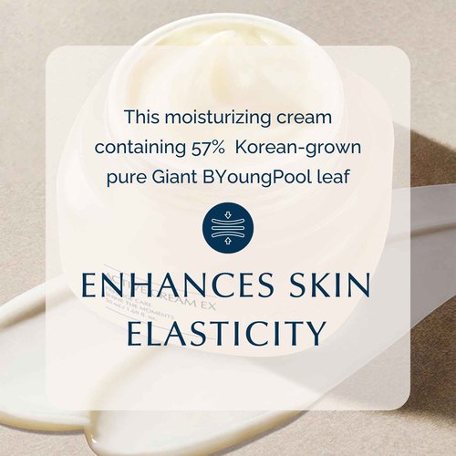 Incellderm Active Cream 50ml - Strengthen Skin Barrier, Plant Stem Cell, Intense Moisturizing, All Skin Types, K-Beauty, Made in Korea
