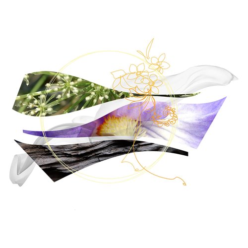 Ferragamo Savane Di Seta Eau de Parfum, Genderless Perfume Spray, 1.7 Fl. Oz.