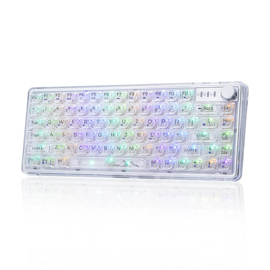 Adventurers V82 Transparent Mechanical Keyboard - Hot-Swappable RGB Gaming Keyboard, 75% Layout & Clear PC Keycaps, Bluetooth/2.4G/Wired Triple-Mode for Windows/Mac(Crystal Clear Switch,White)