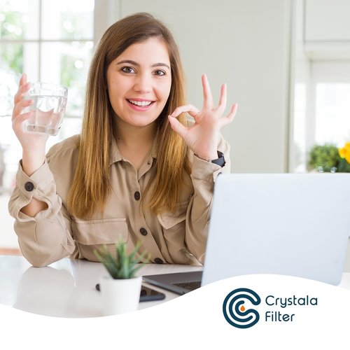 Crystala Filters Water Filter Compatible with XWFE (Built-in CHIP), Replacement for GE XWFE, XWF Refrigerator Water Filter Pack of 2