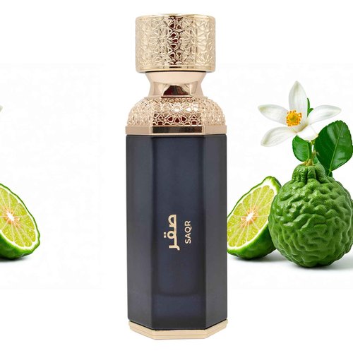 Amazing Creation Saqr Eau de Parfum for Men, 3.4 fl oz / 100ml