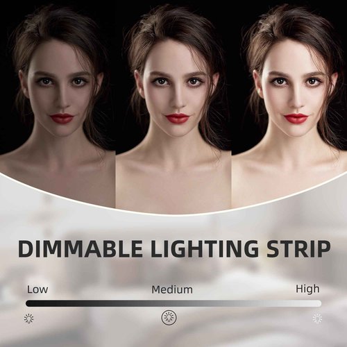 VANITII Vanity Mirror with Lights 12”x16” Hollywood Makeup Mirror with 10X Magnification and Free Rotation Dimmable 3 Color Modes Smart Touch LED Mirror
