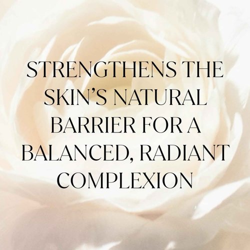 FEMMUE Lumière Refiner Exfoliating Essence (4.05 fl oz) | Hydrating Korean Toner with AHA, BHA, PHA & Vitamin C | Gently Smoothes Skin Texture & Evens Tone | Preps Skin for Serums & Moisturizers