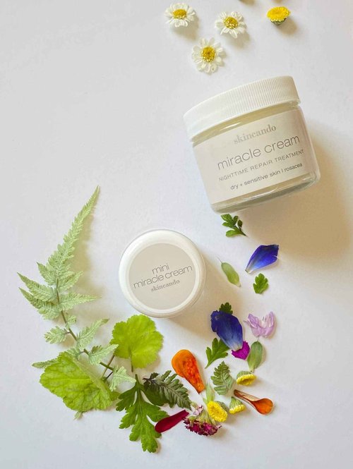 MIRACLE MOISTURIZER CREAM by Skincando 2 0z – All Natural - Organic - Intensive Moisturizer – Contains Organic Apricot Kernel Oil –- Grapefruit Seed Extract – Lavender Essential Oil – Spearmint Oil