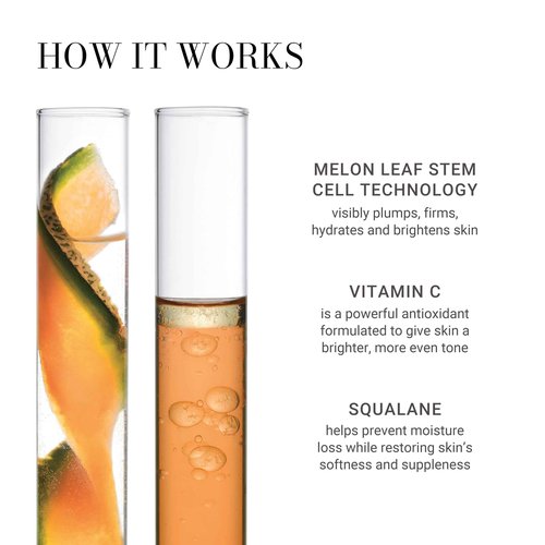 Meaningful Beauty Vitamin C Bi-Phase Brightening Oil with Activated C Technology, 1 fl. Oz