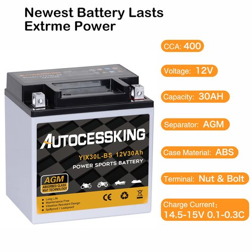 Autocessking YTX30L-BS Motorcycle Battery, 12V 30AH Rechargeable Maintenance Free Sealed AGM Battery Powersport Replacement Battery for ATV and Scooter