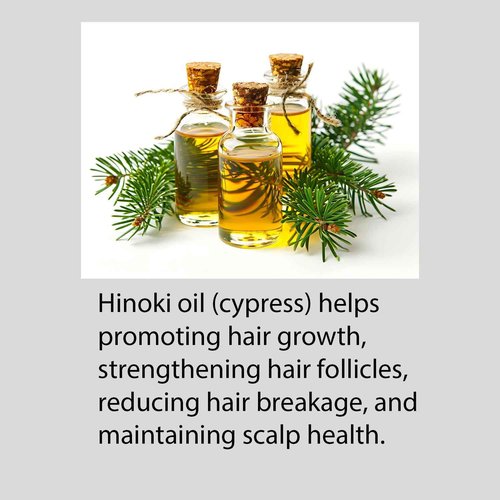 Hayashi System Hinoki Shampoo & Conditioner 10.1oz Duo "Set"