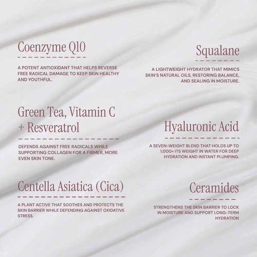 Skincare Junkie Megadose Super Antioxidant Face Moisturizer for oily, acne-prone, normal, sensitive, and combination skin, Dermatologist developed, 1.7 OZ