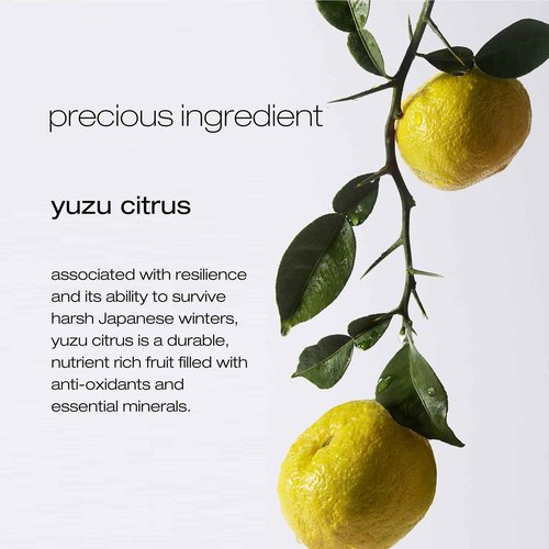 Shu Uemura art of hair Pure Serenity Clarifying Shampoo - Removes Dirt and Product Buildup, Balances and Removes Excess Oil, 13.4 Fl Oz