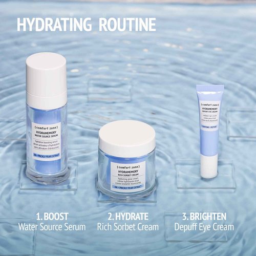 Hydramemory Rich Sorbet Cream