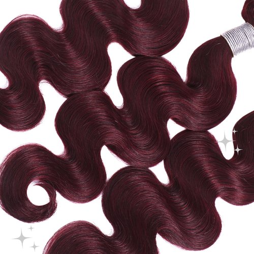 ALHER 99j Body Wave 1 Bundle Human Hair 24 Inch
