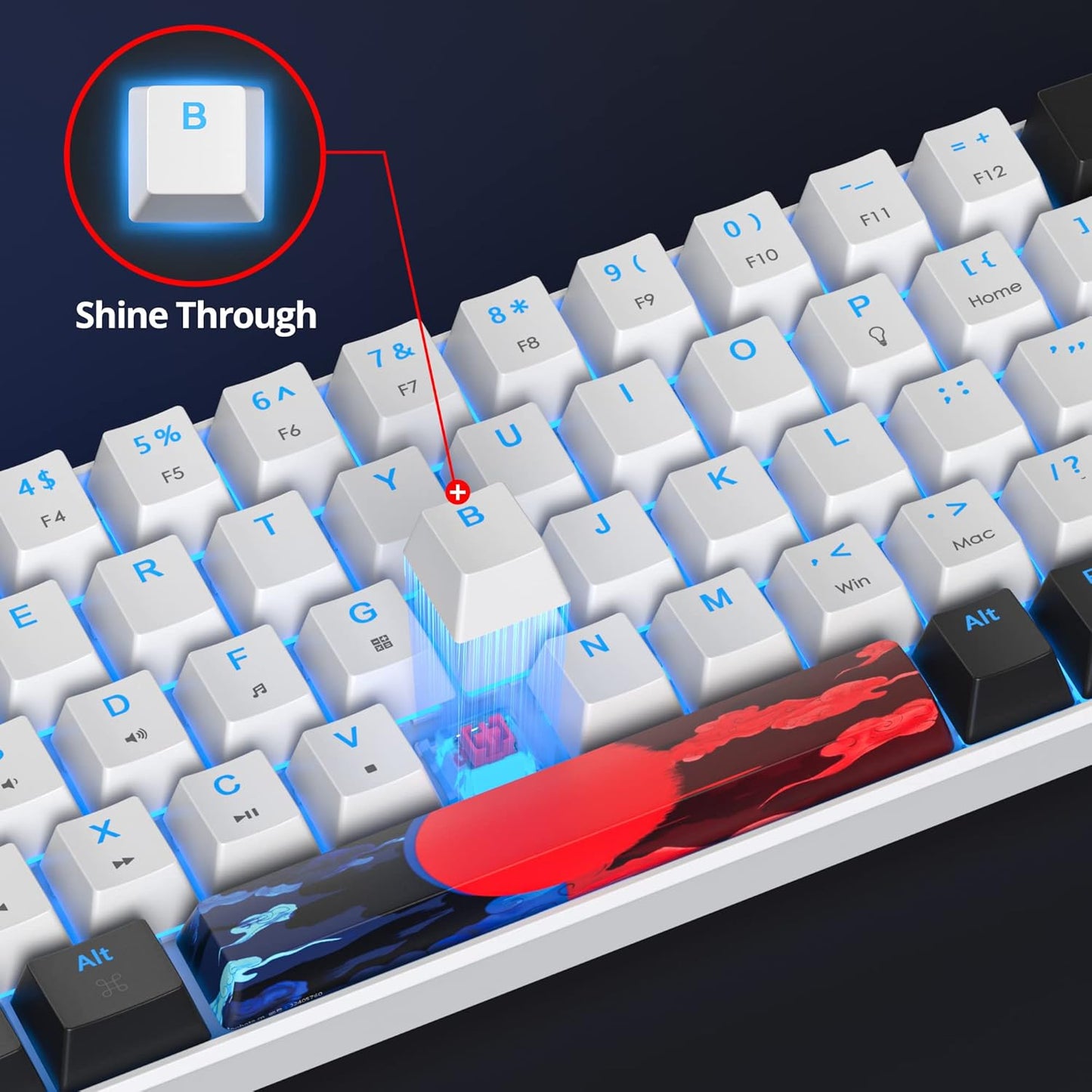 60 Percent Gaming Keyboard 61 Keys Wired Mechanical Keyboard Ultra Compact Key Board Red Switch LED Backlit for Windows Laptop Gamer