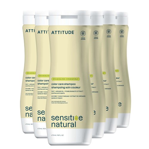 ATTITUDE Color Care Hair Shampoo for Sensitive Dry Scalp, EWG Verified, Soothing Oat, Protects Color, Naturally Derived Ingredients, Vegan and Plant-Based, Color Care, Argan Oil, 16 Fl Oz (Pack of 6)