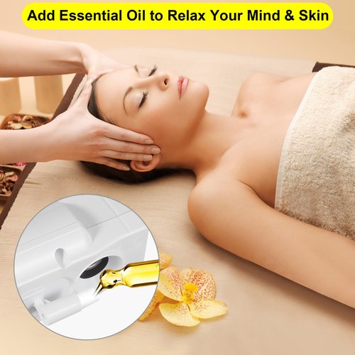 HeavenBird Stand Professional Ozone Facial Steamer with Touch Control, Detachable, Adjustable Height & Rolling Base, 360° Rotatable Nozzle, Hot Mist Function, Use for Home, Salon SPA