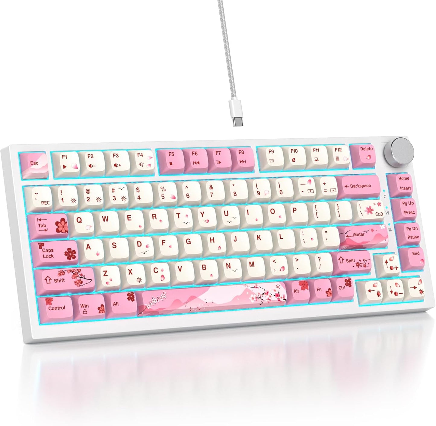 75% TKL Wired Mechanical Keyboard,RGB Backlit Gasket Mount 82 Key Hot Swappable Custom Linear Red Switch Gaming Keyboard with Volume Knob & PBT Keycaps (82 Shoko)