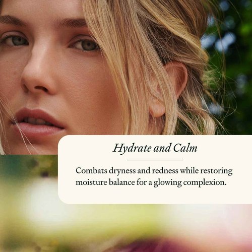 MARK Los Angeles - EQ Daily Moisturizer - EGCG + Quercetin - Hydrating Face Cream - For Dry Skin, Redness & Blemishes - With Jojoba & Squalene Oil - Lightweight Plant-Based Formula - 1.69 fl oz