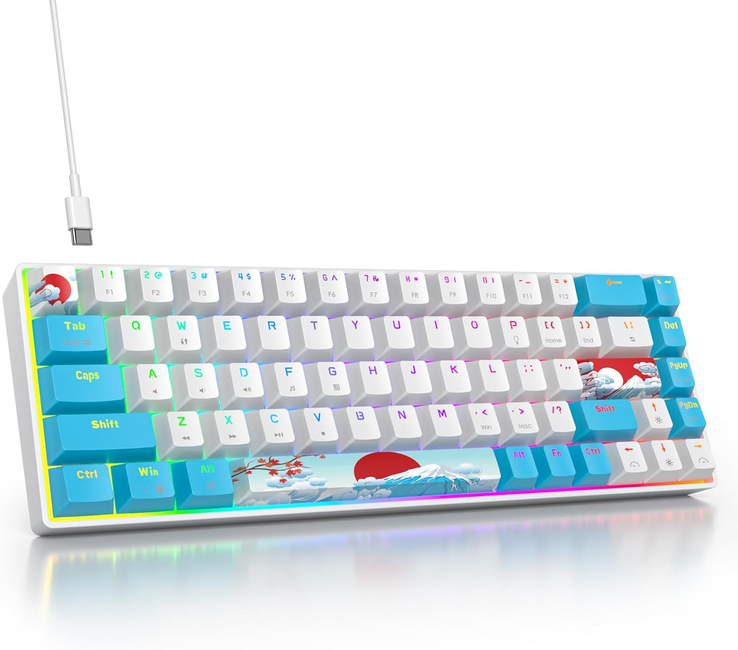 60 Percent Gaming Keyboard Portable 61 Keys Mechanical Keyboard Compact Wired Keyboard RGB Backlit for PC Laptop Gamer(61 Blue/Blue Switch)
