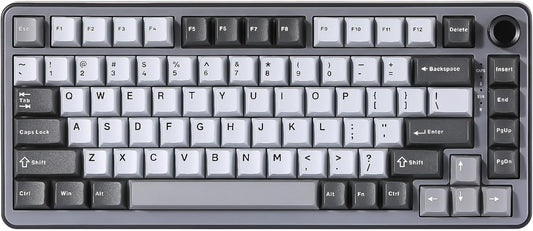 YUNZII B75 Mechanical Keyboard,75% Layout with Knob,Hot Swappable RGB Backlit Gasket Mounted, Creamy Typing, Double-Shot PBT Keycaps,Cherry Profile,for Win/Mac (White, Milk V2 Linear Switch)
