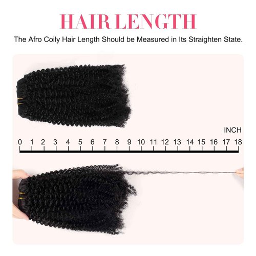 Sassina Real Remy Afro Coily Clip In Human Hair Extensions unprocessed 4B 4C Afro Kinky Curly Clip ins For African Americans Black Women 120 Grams 7 Pieces With 17 Clips 4AC 16 Inch