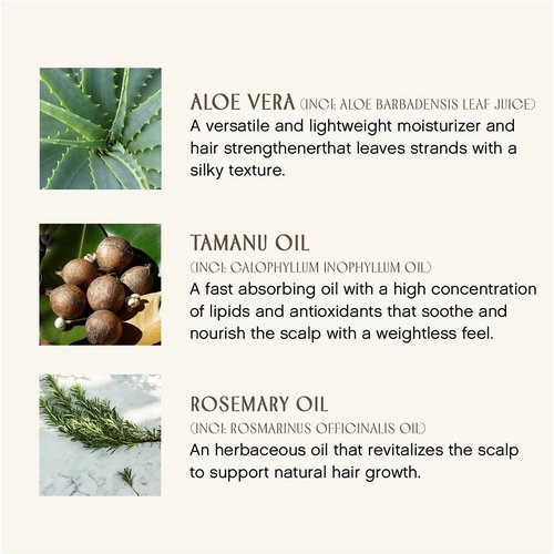 INNERSENSE Organic Beauty - Natural Sweet Spirit Leave-In Conditioner | Non-Toxic, Cruelty-Free, Clean Haircare (Refill Pouch, 32 fl oz | 946 ml)