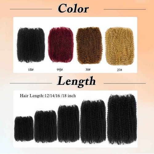 Afro Kinkys Bulk Human Hair For Twist 20 Inch Kinky Curly Human Hair Natural Black For Mini Twists Micro Locs Dreadlock Extensions(20inch 2 Bundles, 1B)