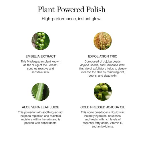 Ogee Botanical Brilliance Exfoliating Cleanser – High Performance Facial Wash – Certified Organic Face Exfoliator Made in USA