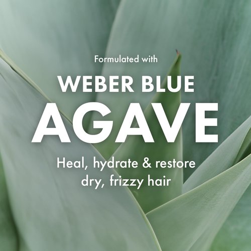 Agave Clarifying Shampoo Deep Cleansing & Hydrating Sulfate-Free Formula, 33.8 Fl Oz