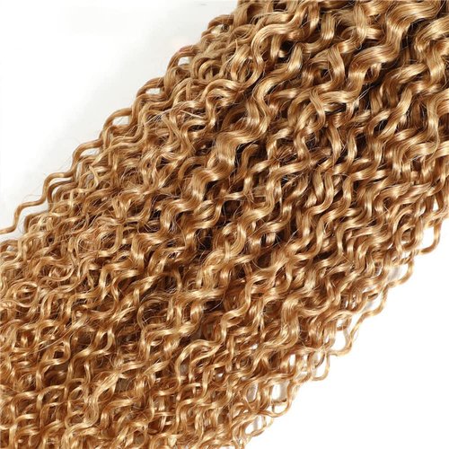 Biliisyff Color #27 Honey Blonde Curly Human Hair Bundles Brazilian Virgin Remy Hair Extensions Double Weft Color 27 Bundles Human Hair Honey Blonde Curly Wave 20 22 24 Inch