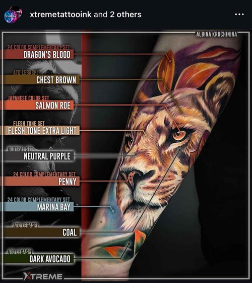 Xtreme Inks Primary Color Set, Comprehensive Color Set, Expertly Crafted Collection for Lifelike Tattoo Artistry, Perfect Blend of Hues, Expertly Formulated (Set of 12, 1/2 oz)