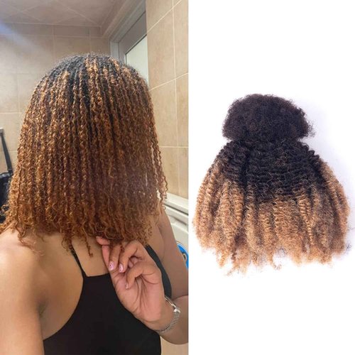 Afro Kinky Bulk Human Hair, 4C, 50g/pack, Braiding Hair for Mini Twists and Sister Locs (#1b/27 18inch)