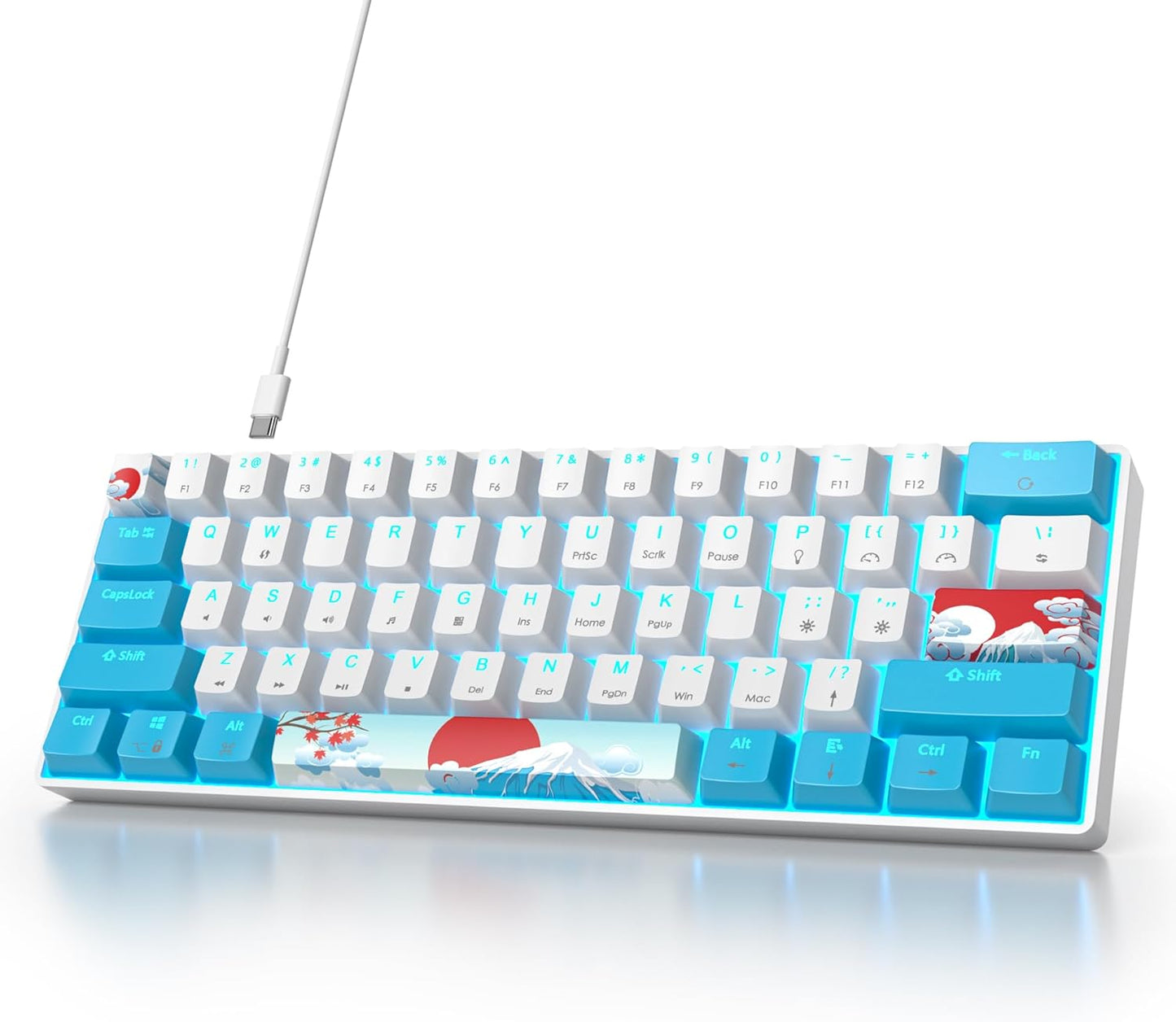 60 Percent Gaming Keyboard 60% Mechanical Keyboard LED Backlit Ultra Compact Wired Keyboard with Red Switch for Windows Laptop Gamer(61 Blue Samurai)