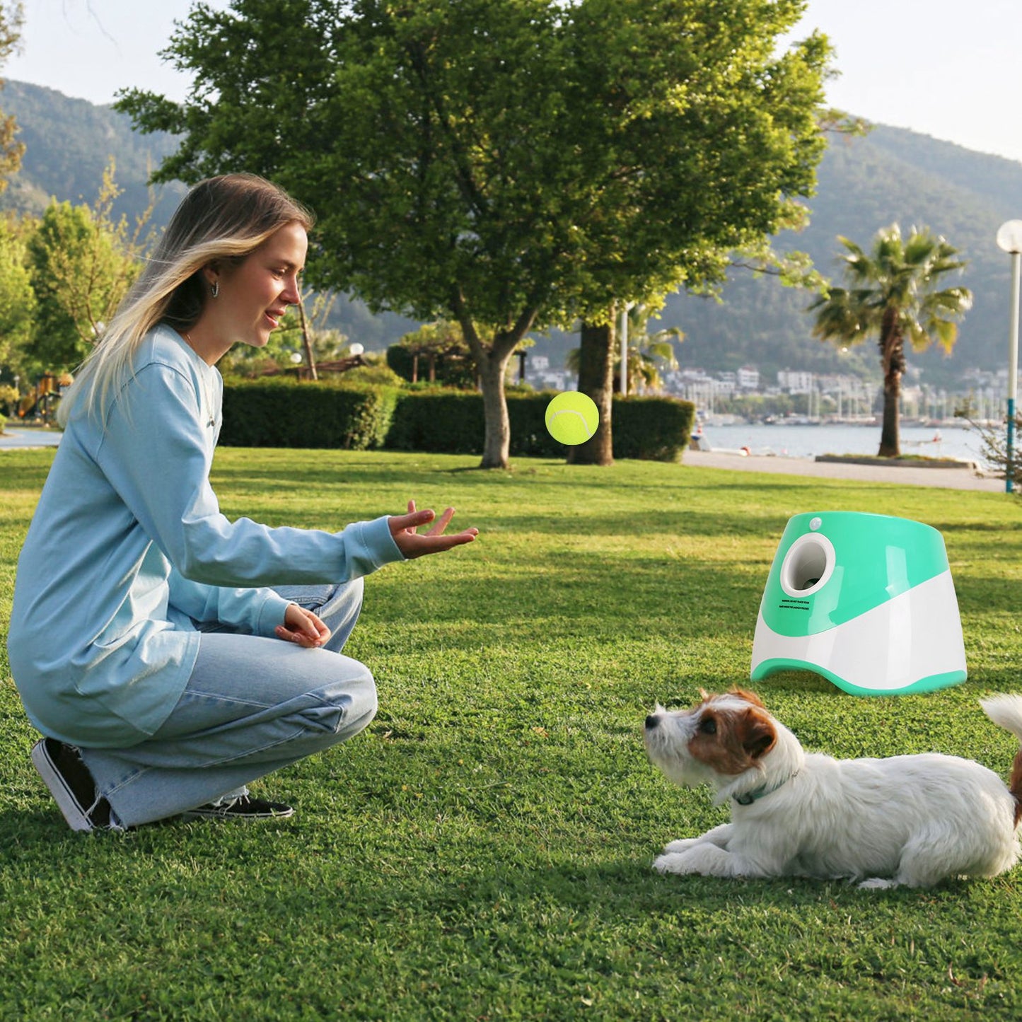 Automatic Dog Ball Launcher with 6 Tennis Balls - Adjustable Distance & Rechargeable