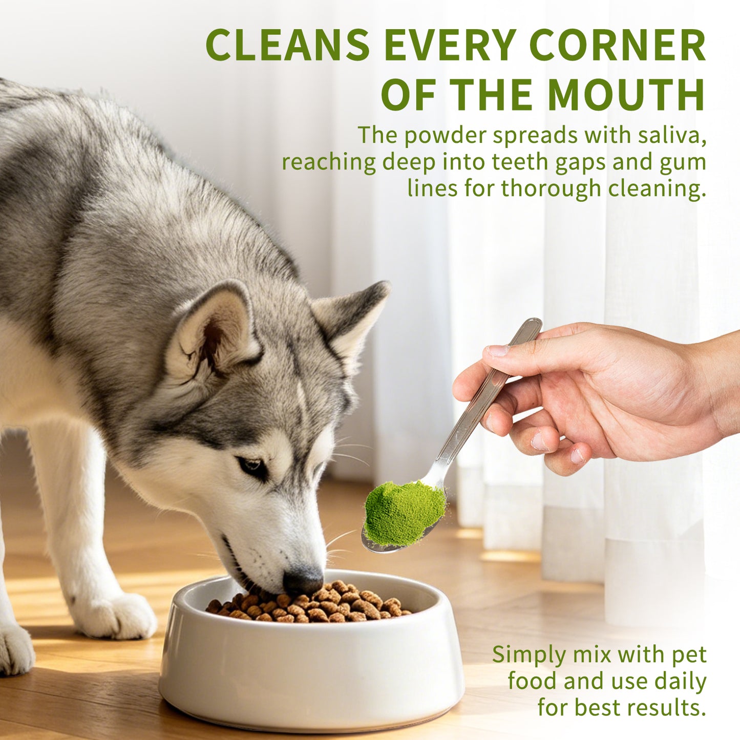Pet Toothpaste for Cats and Dogs - Oral Care, Fresh Breath, Easy to Use