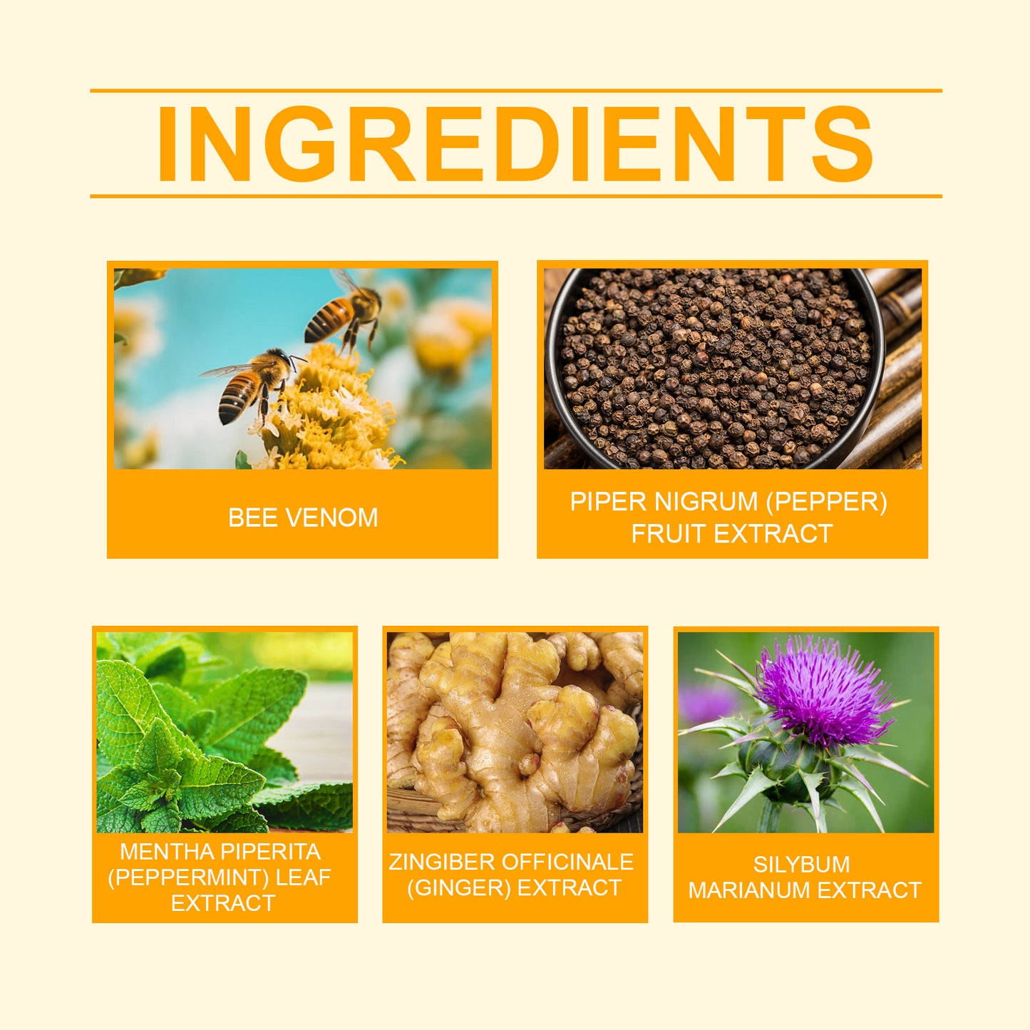 Bee Venom Body Patch - 10 Count Natural Extract Metabolism Support