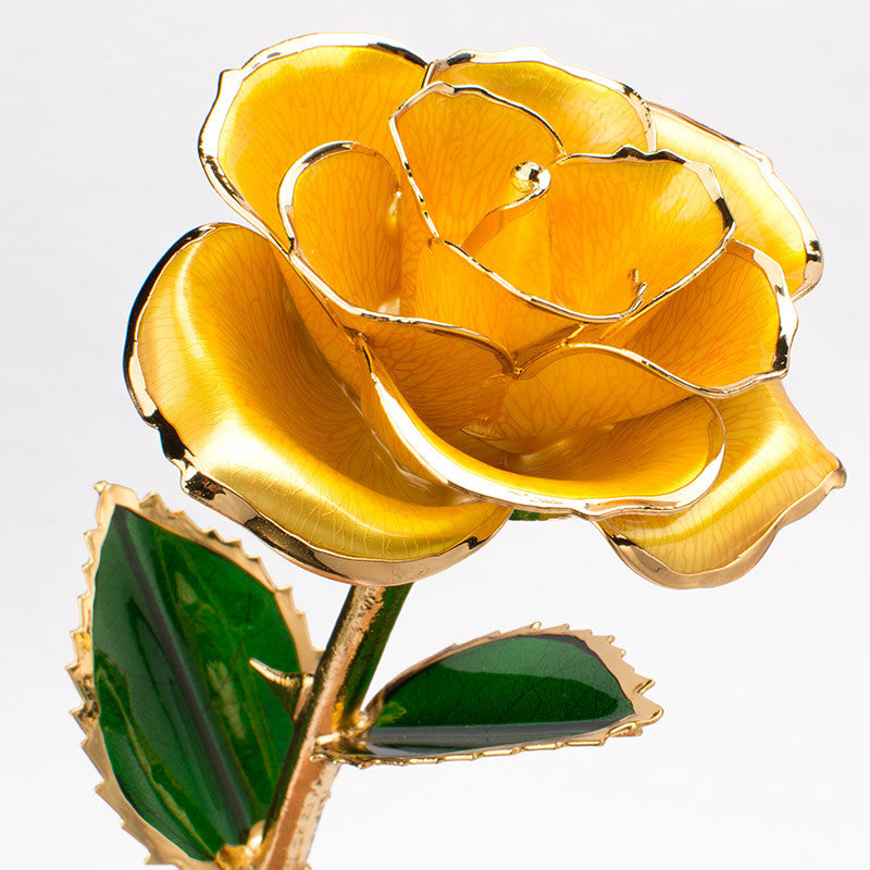 24K Gold-Plated Decorative Rose Flower Gift Box for Valentine's Day & Special Occasions