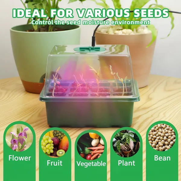 5-Pack Seed Starter Kit with LED Grow Lights - Indoor Mini Greenhouse