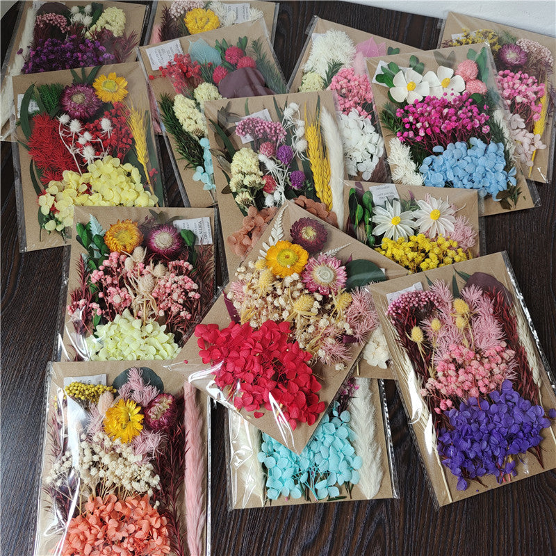 Dried Flower Material Pack for Candle & Photo Frame Decoration - Multiple Styles