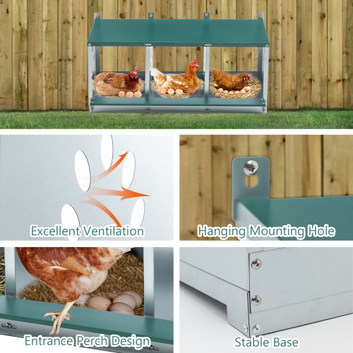Galvanized Steel Chicken Nesting Box with 3 Compartments - Easy Assembly, Green