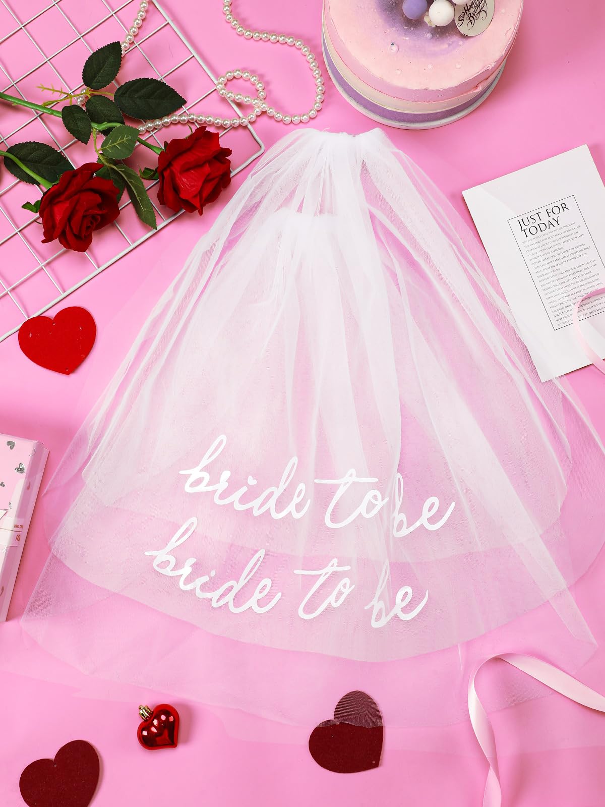 Bride To Be Embroidered Veil - Bachelorette Party Accessory